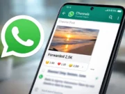 WhatsApp beta mostra número de encaminhamentos em publicações de canais whatsapp-beta-encaminhamentos-canais-capa