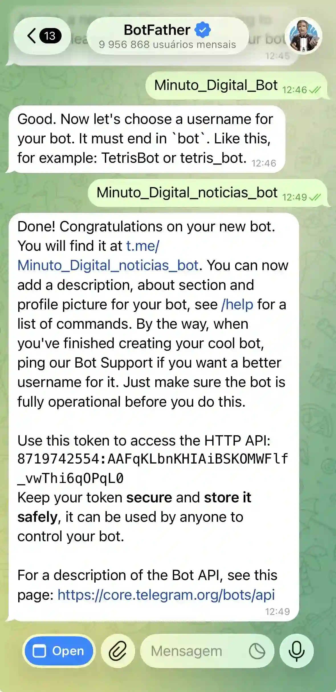 Passo 4 - Nome de utilizador do bot