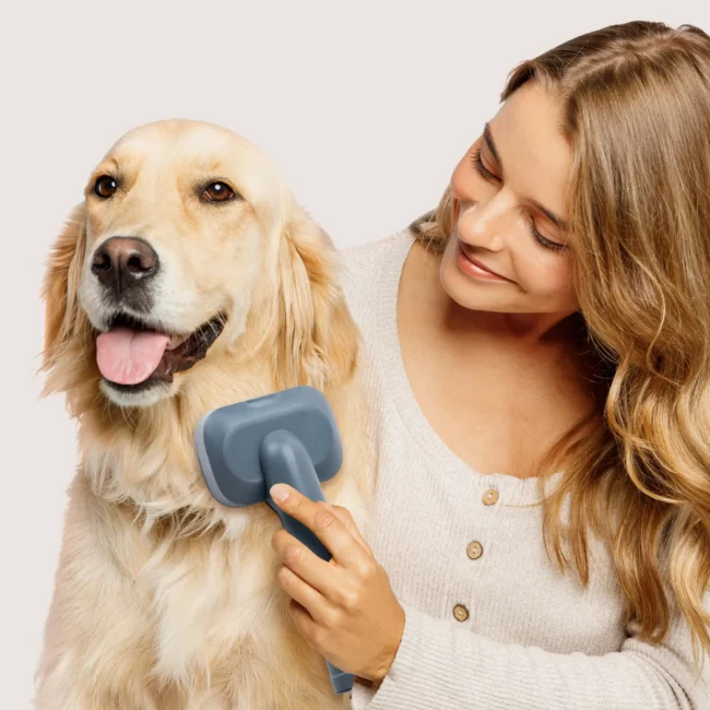 Pet Buddy Groom