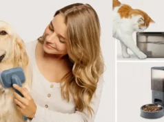 Ufesa entra na tecnologia para animais com nova gama que promete facilitar o dia a dia Ufesa entra na tecnologia para animais com nova gama que promete facilitar o dia a dia