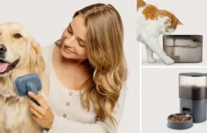 Ufesa entra na tecnologia para animais com nova gama que promete facilitar o dia a dia Ufesa entra na tecnologia para animais com nova gama que promete facilitar o dia a dia