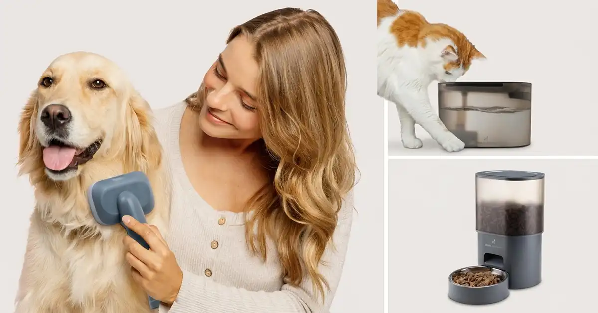 Ufesa entra na tecnologia para animais com nova gama que promete facilitar o dia a dia