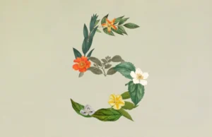 Claude Sonnet 5: o novo modelo da Anthropic que promete fazer mais sem precisar de ti claude-sonnet-5-anthropic-lancamento