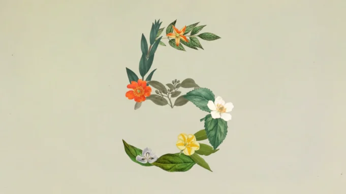 Claude Sonnet 5: o novo modelo da Anthropic que promete fazer mais sem precisar de ti claude-sonnet-5-anthropic-lancamento